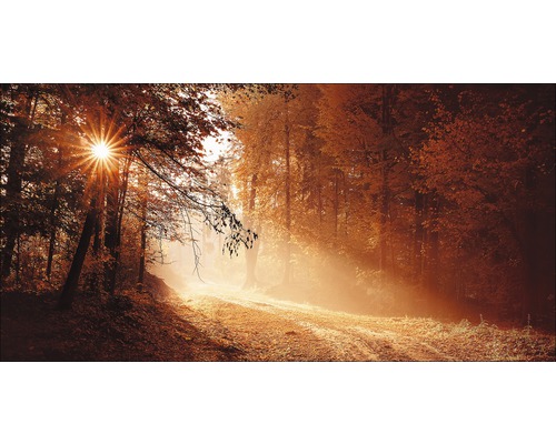 Giclée Leinwandbild Autumn Forest ll 50x100 cm
