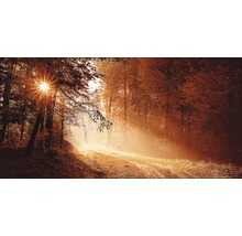 Giclée Leinwandbild Autumn Forest ll 80x160 cm