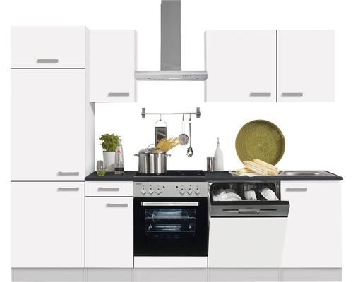 Küchenzeile mit Spülmaschine, Herd, Dunstabzugshaube und Hängeschränken in einem hellen, modernen Design