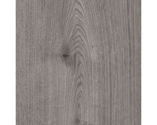 Laminat 8.0 Ferrara Oak-0