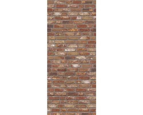 Mauer aus Ziegelsteinen