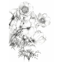 Schwarzweiße Bleistiftzeichnung von Blumen