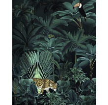Illustration eines Dschungels mit Pflanzen, einem Jaguar und einem Tukan