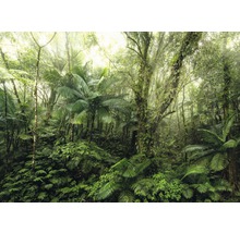 Fototapete Vlies X7-1009 Mindfulness 7-tlg. 350 x 250 cm