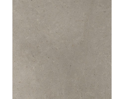 FLAIRSTONE Feinsteinzeug Terrassenplatte Grigio rektifizierte Kante 120 cm x 120 cm x 2 cm Graue Bodenfliese aus Steinzeug