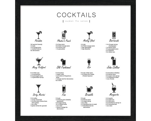 Cocktail Rezept Poster mit den Zutaten für verschiedene Cocktails