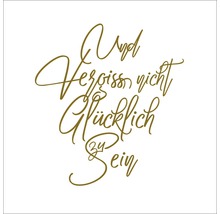 Schriftzug Vergiss nicht glücklich zu sein