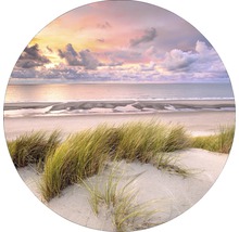 Strandhafer auf einer Düne mit Meerblick