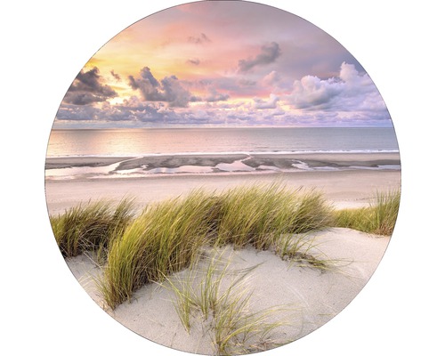 Strandhafer auf einer Düne mit Meerblick