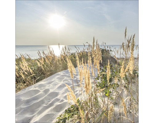 Dünenlandschaft mit Strandhafer und Blick auf das Meer