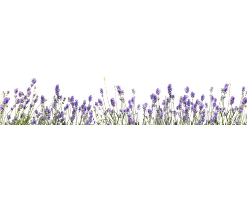 Küchenrückwand mySpotti Splash Lilou Lavendel 2800 x 600 mm SP-F2-1815