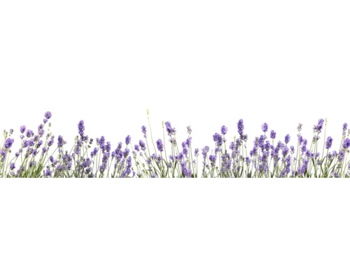 Küchenrückwand mySpotti Splash Lilou Lavendel 2800 x 600 mm SP-F2-1815 Reihe Lavendelblüten