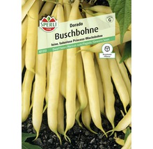 Samenpackung Buschbohne Dorado