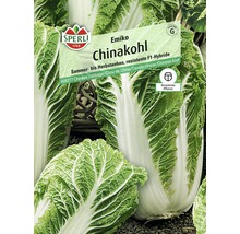 Chinakohl 'Emiko' Sperli Gemüsesamen