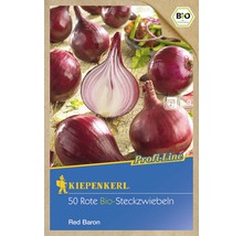 BIO Steckzwiebel 'Red Baron' Kiepenkerl 50 Stk.