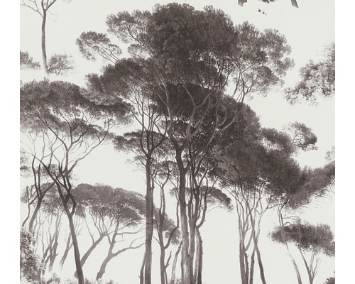 Vliestapete 37651-1 History of Art Bäume grau