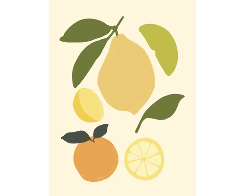 Kunstdruck Citrus Fruits 18x24 cm