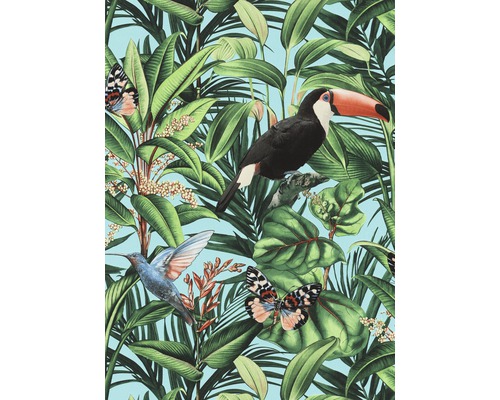 Vliestapete 10121-18 Paradisio 2 Floral Türkis Tapete mit Dschungelmotiv, inklusive Tukan, Kolibri und Schmetterlingen.