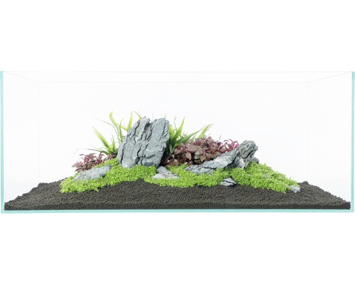 Aquarium mit Steinen, Pflanzen und Bodengrund