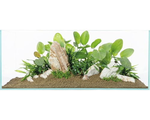 Aquarium mit Pflanzen und Steinen