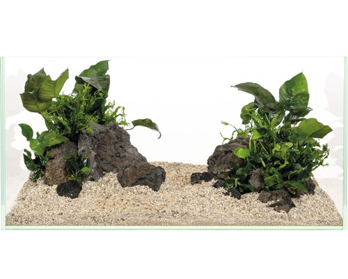 Aquarium mit Steinen, Sand und Pflanzen