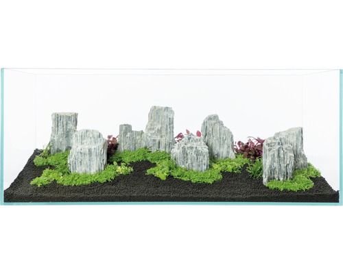 Dekoratives Aquarium mit Steinen, Bodengrund und Pflanzen