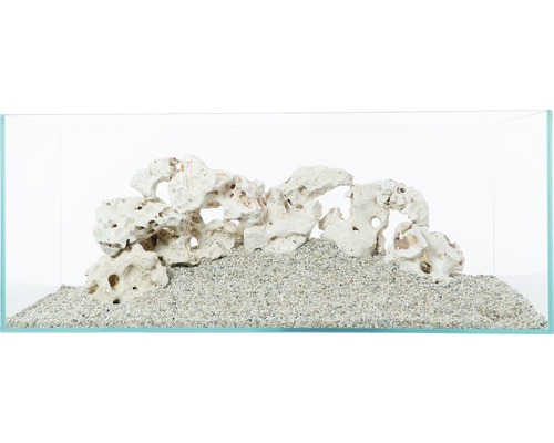 Aquarium mit Dekoration aus hellem Gestein und Sand