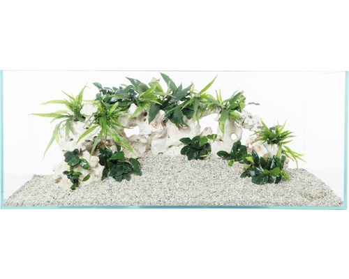 Dekoriertes Aquarium mit Steinen, Pflanzen und Sand