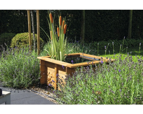 Quadratischer Holz Gartenteich mit Rohrkolben und Lavendel