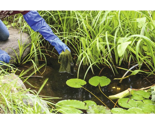 Person reinigt Gartenteich mit Algennetz und Handschuhen.