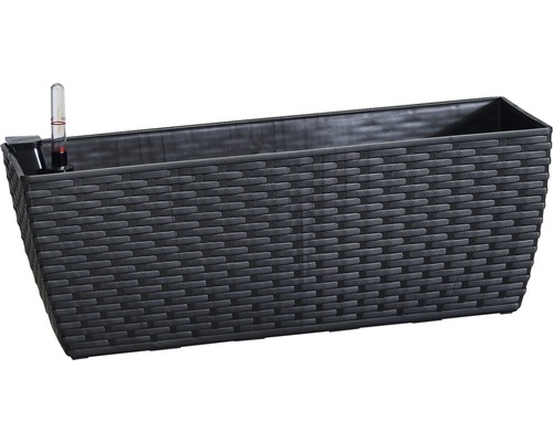 Lafiora Balkonkasten 50 x 18,5 x 18,5 cm Kunststoff anthrazit inkl. Drainageplatte und Selbstbewässerungssystem-0