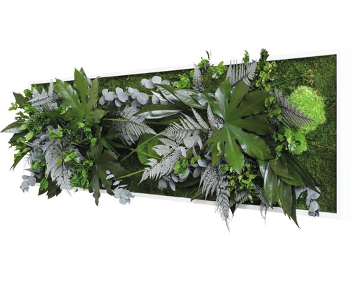 Wandbild mit verschiedenen grünen Blättern und Moos in weißem Rahmen