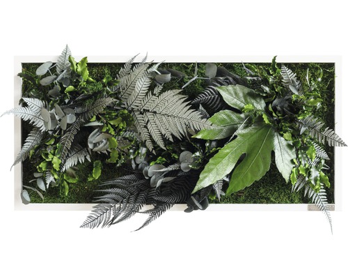 Pflanzenbild Dschungeldesign Rahmen weiß 57x27 cm