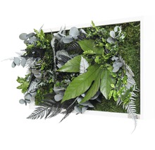 Pflanzenbild Dschungeldesign Rahmen weiß 57x27 cm-thumb-1