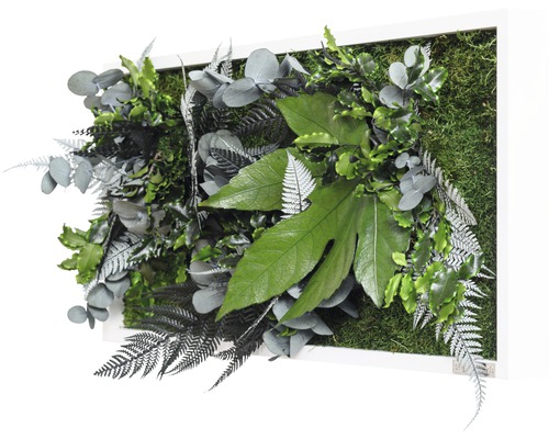 Dekoratives Wandbild mit verschiedenen Pflanzen und Moos in einem weißen Rahmen