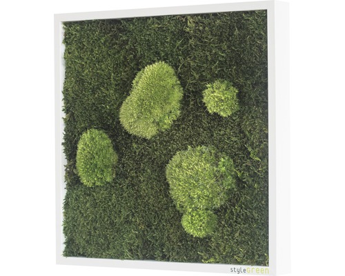 Moosbild mit Rahmen zur Wanddekoration