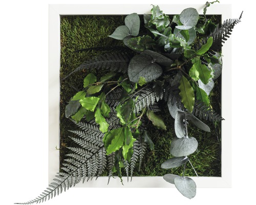 Pflanzenbild Dschungeldesign Rahmen weiß 22x22 cm