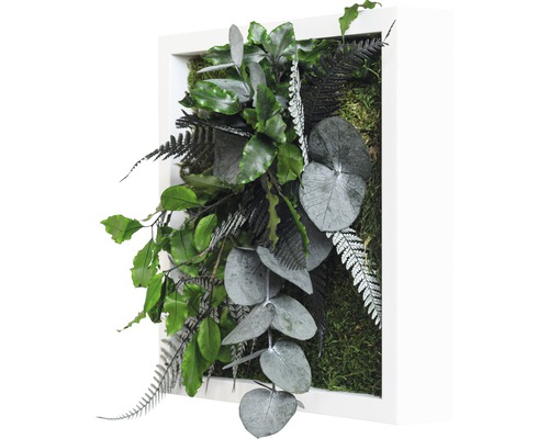 Moosbild mit verschiedenen Pflanzen in weißem Rahmen