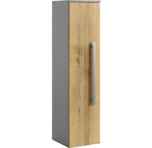 Hochschrank mit Tür und Metallgriff