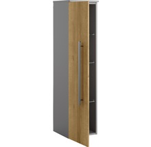 Badezimmer-Hängeschrank mit Tür, Griff und Einlegeböden