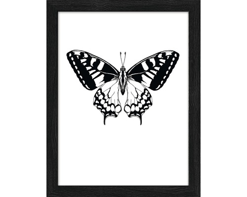 Gerahmtes Bild Butterfly 19x24 cm Gerahmtes Bild mit Schmetterlingsmotiv