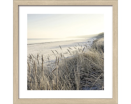 Gerahmtes Bild Lost Dunes 28x28 cm Gerahmtes Bild mit Strand und Gras im Vordergrund