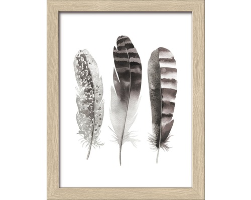 Gerahmtes Bild Three Brown Feathers 19x24 cm Gerahmtes Bild mit drei Federn