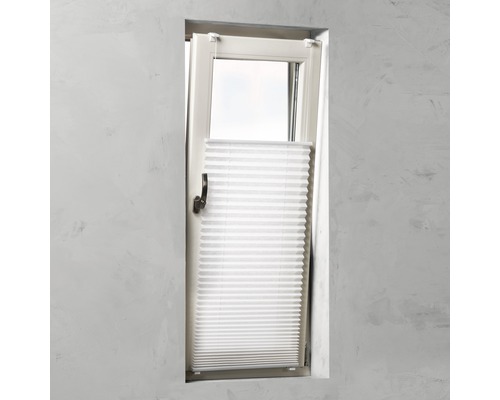 Fenster mit montiertem Plissee