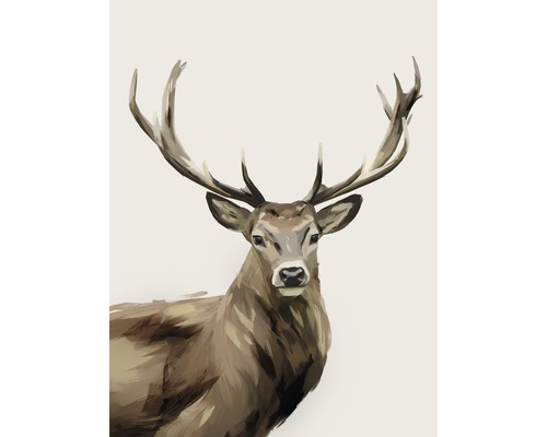 Kunstdruck Deer 30x40cm