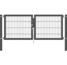 Stabgitter-Doppeltor ALBERTS Flexo Plus Typ 8/6/8 200 x 80 cm inkl. Pfosten 8 x 8 cm anthrazit