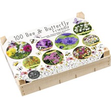 100 Blumenzwiebeln, bienen- und schmetterlingsfreundlich in Holzkiste