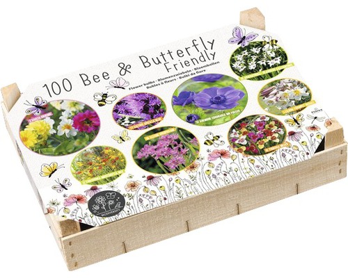 Blumenzwiebel Big Box - BIO Diversität Bee & Butterfly mit Dahlia, 100 Stk