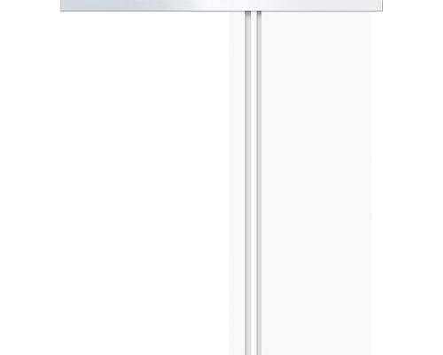 Schiebetürsystem mit Führungsschiene