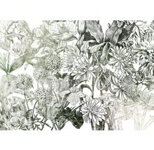 Illustration verschiedener Blumen auf weißem Hintergrund